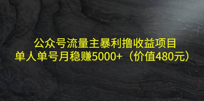 公众号流量主暴利撸收益项目，单人单号月稳赚5000+（价值480元）网创吧-网创项目资源站-副业项目-创业项目-搞钱项目网创吧