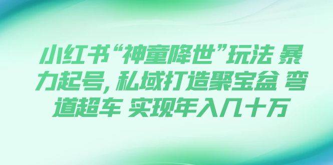 小红书“神童降世”玩法 暴力起号,私域打造聚宝盆 弯道超车 实现年入几十万网创吧-网创项目资源站-副业项目-创业项目-搞钱项目网创吧