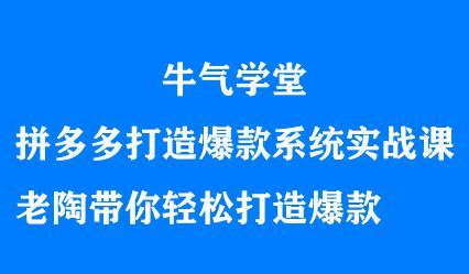 牛气学堂拼多多打造爆款系统实战课，老陶带你轻松打造爆款网创吧-网创项目资源站-副业项目-创业项目-搞钱项目网创吧