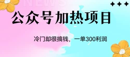 冷门公众号加热项目，一单利润300+网创吧-网创项目资源站-副业项目-创业项目-搞钱项目网创吧