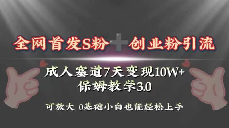 全网首发s粉加创业粉引流变现，成人用品赛道7天变现10w+保姆教学3.0网创吧-网创项目资源站-副业项目-创业项目-搞钱项目网创吧