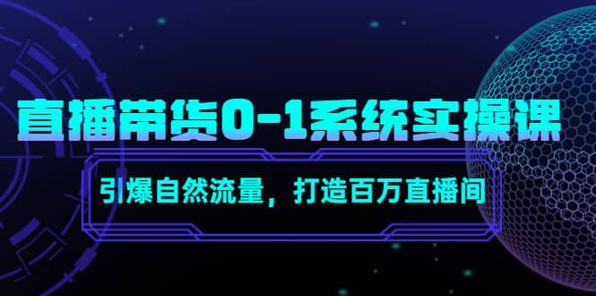 直播带货0-1系统实操课，引爆自然流量，打造百万直播间网创吧-网创项目资源站-副业项目-创业项目-搞钱项目网创吧