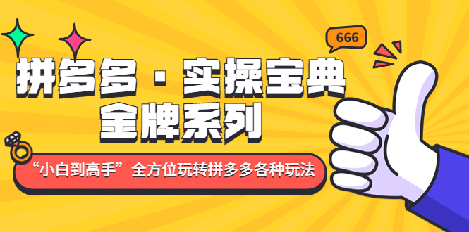 拼多多·实操宝典：金牌系列“小白到高手”带你全方位玩转拼多多各种玩法网创吧-网创项目资源站-副业项目-创业项目-搞钱项目网创吧