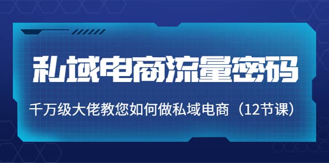 私域电商流量密码：千万级大佬教您如何做私域电商（12节课）网创吧-网创项目资源站-副业项目-创业项目-搞钱项目网创吧