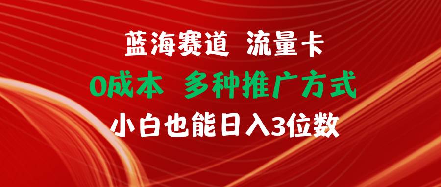 蓝海赛道 流量卡 0成本 小白也能日入三位数网创吧-网创项目资源站-副业项目-创业项目-搞钱项目网创吧