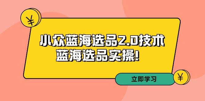 拼多多培训第33期：小众蓝海选品2.0技术-蓝海选品实操！网创吧-网创项目资源站-副业项目-创业项目-搞钱项目网创吧