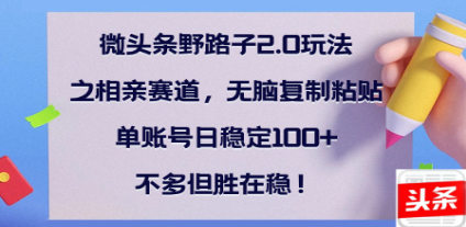 全网首发微头条野路子2.0玩法之相亲赛道，无脑搬砖复制粘贴，单账号日稳定300+保姆级教程网创吧-网创项目资源站-副业项目-创业项目-搞钱项目网创吧