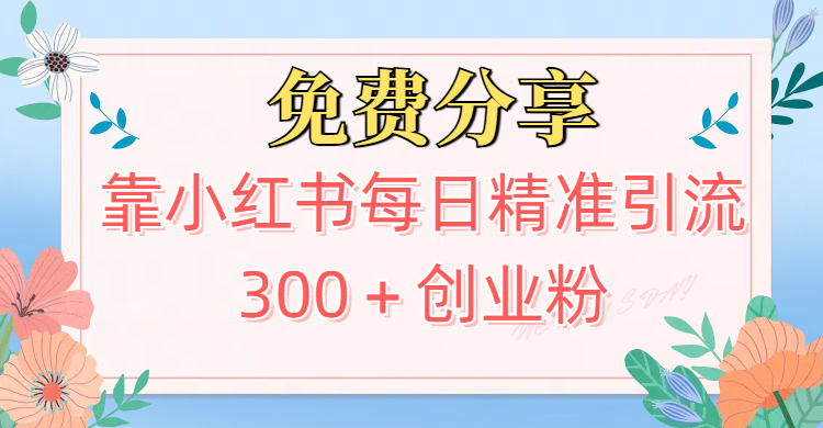 2025最新引流！靠小红书每日精准引流300＋创业粉网创吧-网创项目资源站-副业项目-创业项目-搞钱项目网创吧